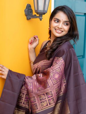 Zari Banarasi Silk Saree
